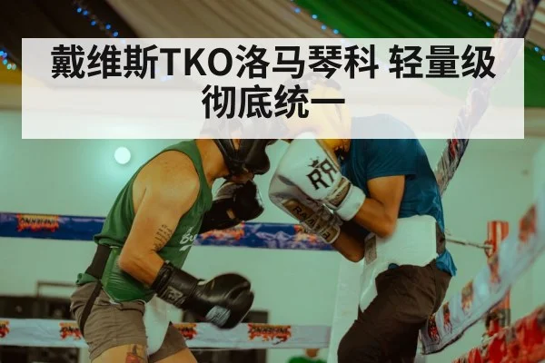 戴维斯TKO洛马琴科 轻量级彻底统一